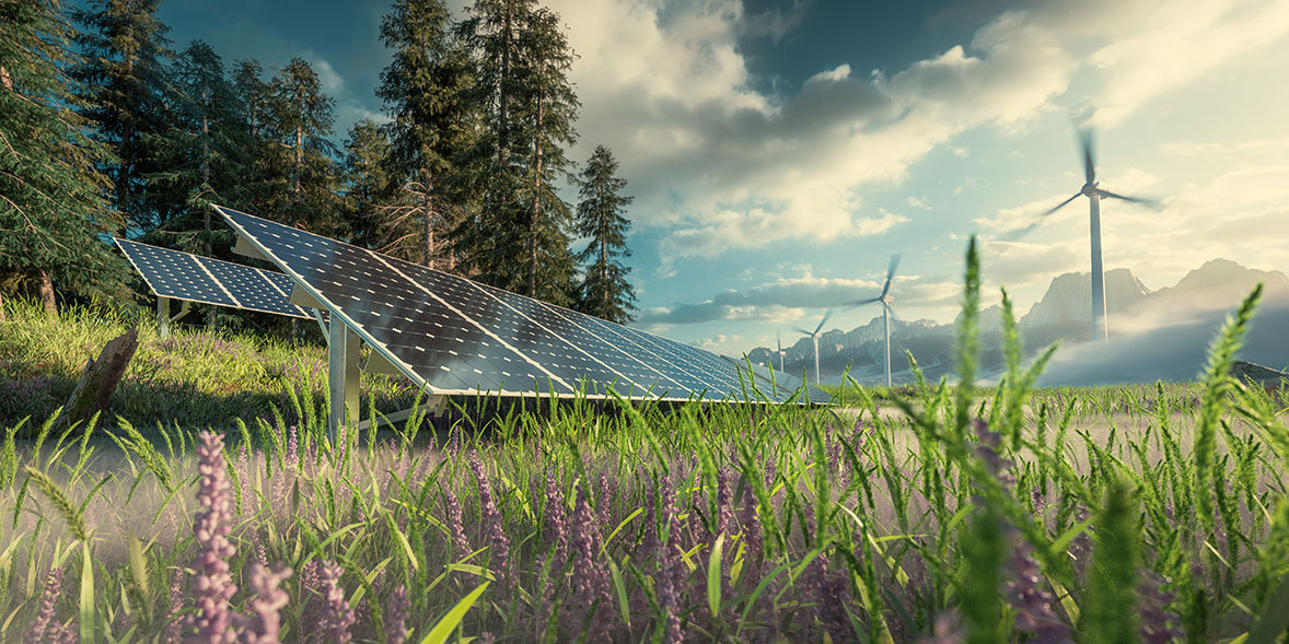 renewable energy