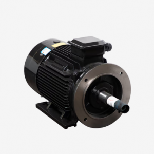 Motor LAEG TYP Series – Động cơ đồng bộ nam châm vĩnh cửu