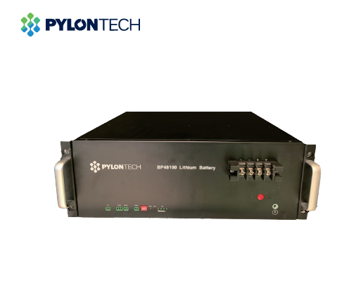 Pin lưu trữ điện Lithium Pylontech BP48100 3 Pin lưu trữ điện Lithium Pylontech BP48100 - Ảnh 3