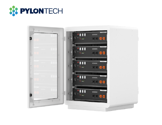 Pin lưu trữ điện Lithium Pylontech US3000C 3 Pin lưu trữ điện Lithium Pylontech US3000C - Ảnh 3