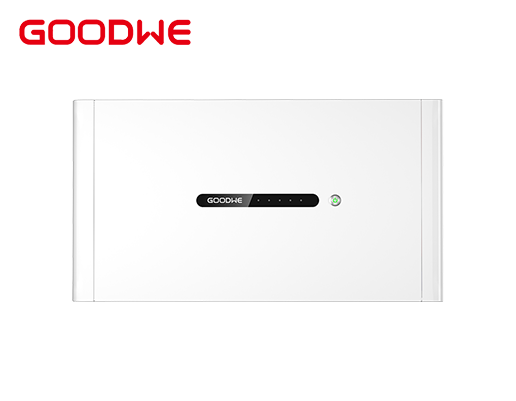Pin lưu trữ điện 5kWh Lithium GoodWe Lynx D Series 8 image 1788935759127