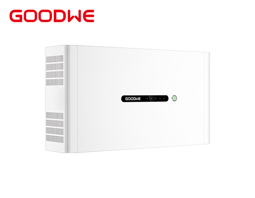 Pin lưu trữ điện 5kWh Lithium GoodWe Lynx D Series 3 Pin lưu trữ điện 5kWh Lithium GoodWe Lynx D Series - Ảnh 3